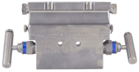 PGI Int'l Five-Valve Manifold